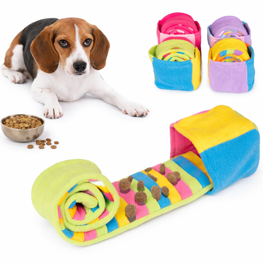 Fanyil™ Zoomigo Fun Brain Game