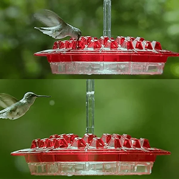Yofany Sweety Hummingbird Feeder